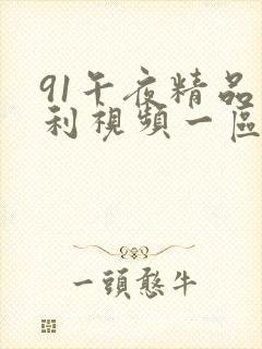 91午夜精品福利视频一区