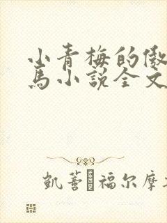 小青梅的傲娇竹马小说全文免费阅读封面