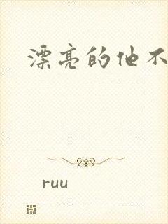 漂亮的他不说话封面