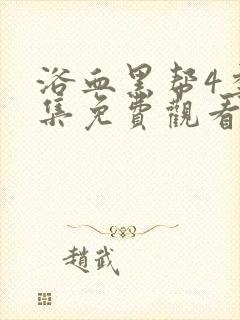 浴血黑帮4季全集免费观看