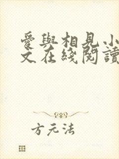 爱与相见小说全文在线阅读