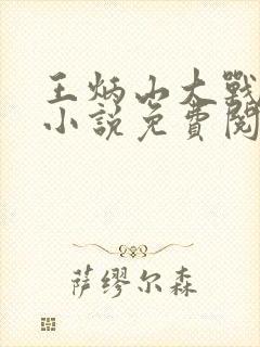 王炳山大战五女小说免费阅读全集封面