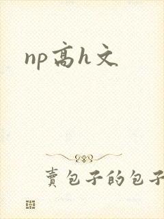 np高h文