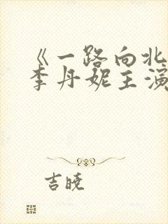 《一路向北》王李丹妮主演的电影
