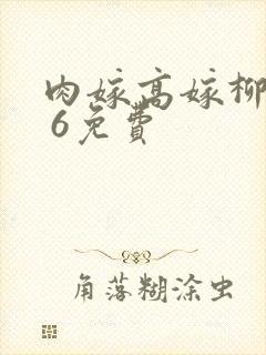 肉嫁高嫁柳家1 6免费