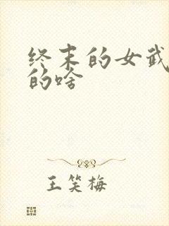 终末的女武神讲的啥封面