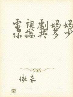 电视剧妈妈在等你总共多少集封面