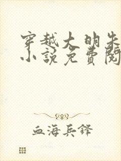 穿越大明朱祁镇小说免费阅读