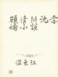 顾清川沈念李娇娇小说