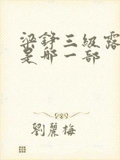 梁铮三级露全乳是哪一部