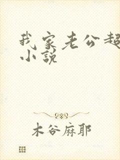 我家老公超宠哒小说