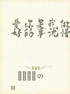 爱你是我做过最好的事沈惜凡