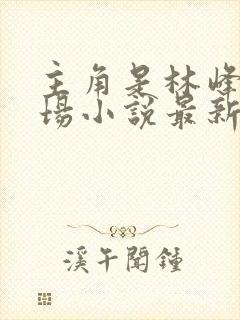 主角是林峰的官场小说最新章节更新内容