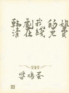 韩剧我的姐姐高清在线免费观看