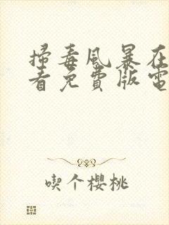 扫毒风暴在线观看免费版电视剧高清封面