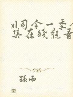 xl司令一季全集在线观看免费播放