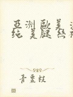 亚洲 欧美 清纯 美腿 丝袜