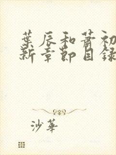 叶辰和萧初然最新章节目录