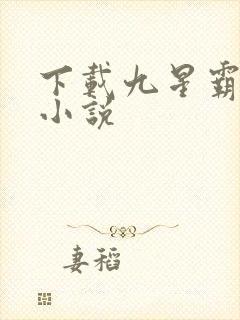下载九星霸体诀小说