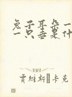 兔子耳朵一只立一只垂是什么原因