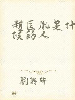 赵匡胤是什么时候的人封面