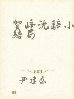 贺峥沈辞小说大结局