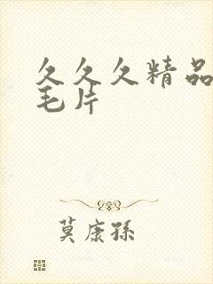 久久久精品国产毛片