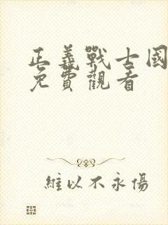 正义战士国语版免费观看