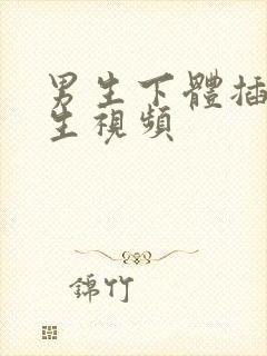 男生下体插入女生视频封面