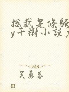 总裁是条骚狗by千树小说免费阅读