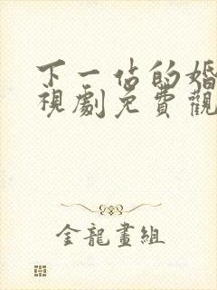 下一站的婚姻电视剧免费观看