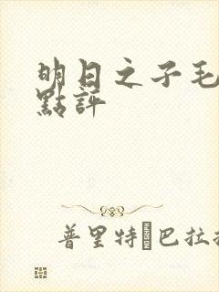 明日之子毛不易点评