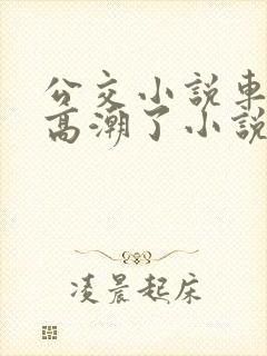 公交小说车被上高潮了小说封面