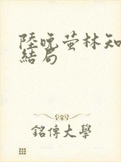 陆晚萤林知珩大结局