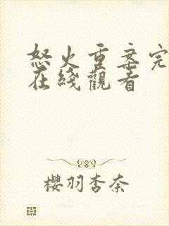 怒火重案完整版在线观看封面