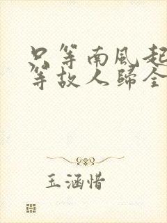 只等南风起,不等故人归全文免费阅读