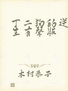 丁二狗的逆袭人生有声版