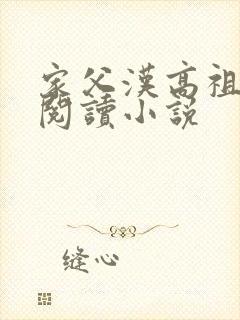 家父汉高祖在线阅读小说