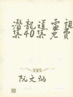 潜龙道电视剧全集40集免费播放