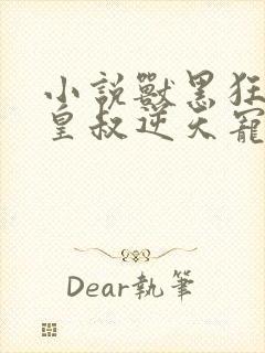 小说兽黑狂妃:皇叔逆天宠封面