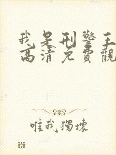 我是刑警王在线高清免费观看