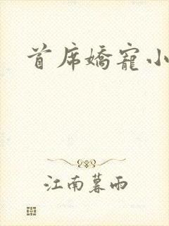 首席娇宠小情人