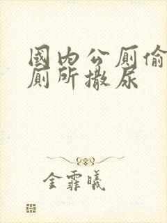 国内公厕偷拍女厕所撒尿