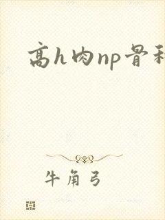 高h肉np骨科