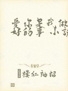 爱你是我做过最好的事 小说