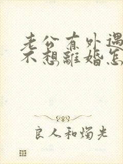 老公有外遇但我不想离婚怎么办