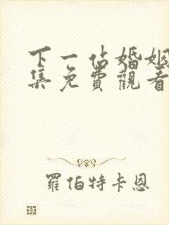 下一站婚姻40集免费观看电视剧封面