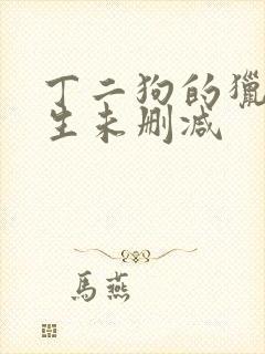 丁二狗的猎艳人生未删减