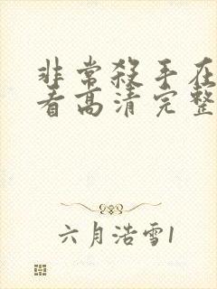 非常杀手在线观看高清完整版免费