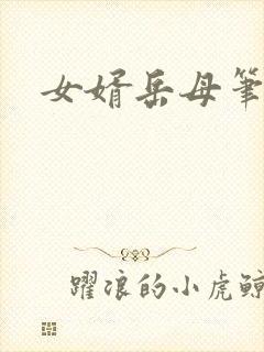 女婿岳母笔趣阁封面